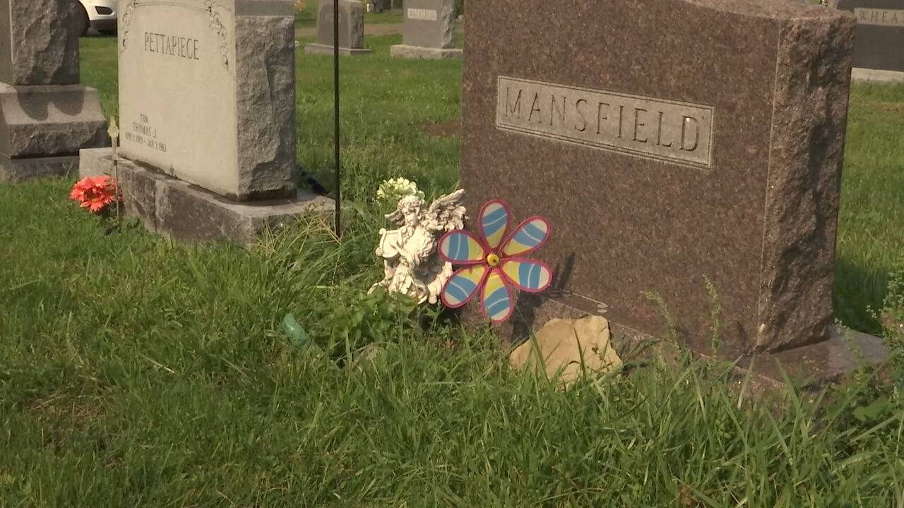 Cemetery Picture 5.jpg